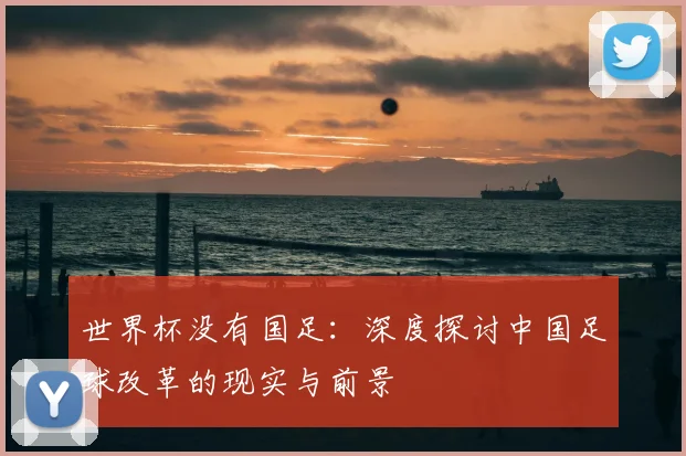 世界杯没有国足：深度探讨中国足球改革的现实与前景