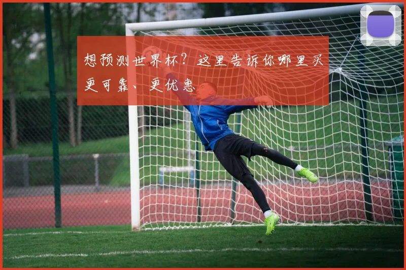 想预测世界杯？这里告诉你哪里买更可靠、更优惠